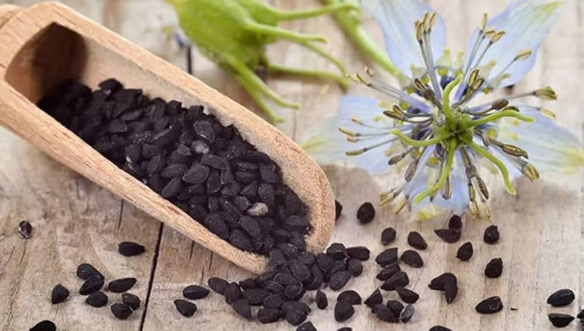 Nigella Seeds For Hair